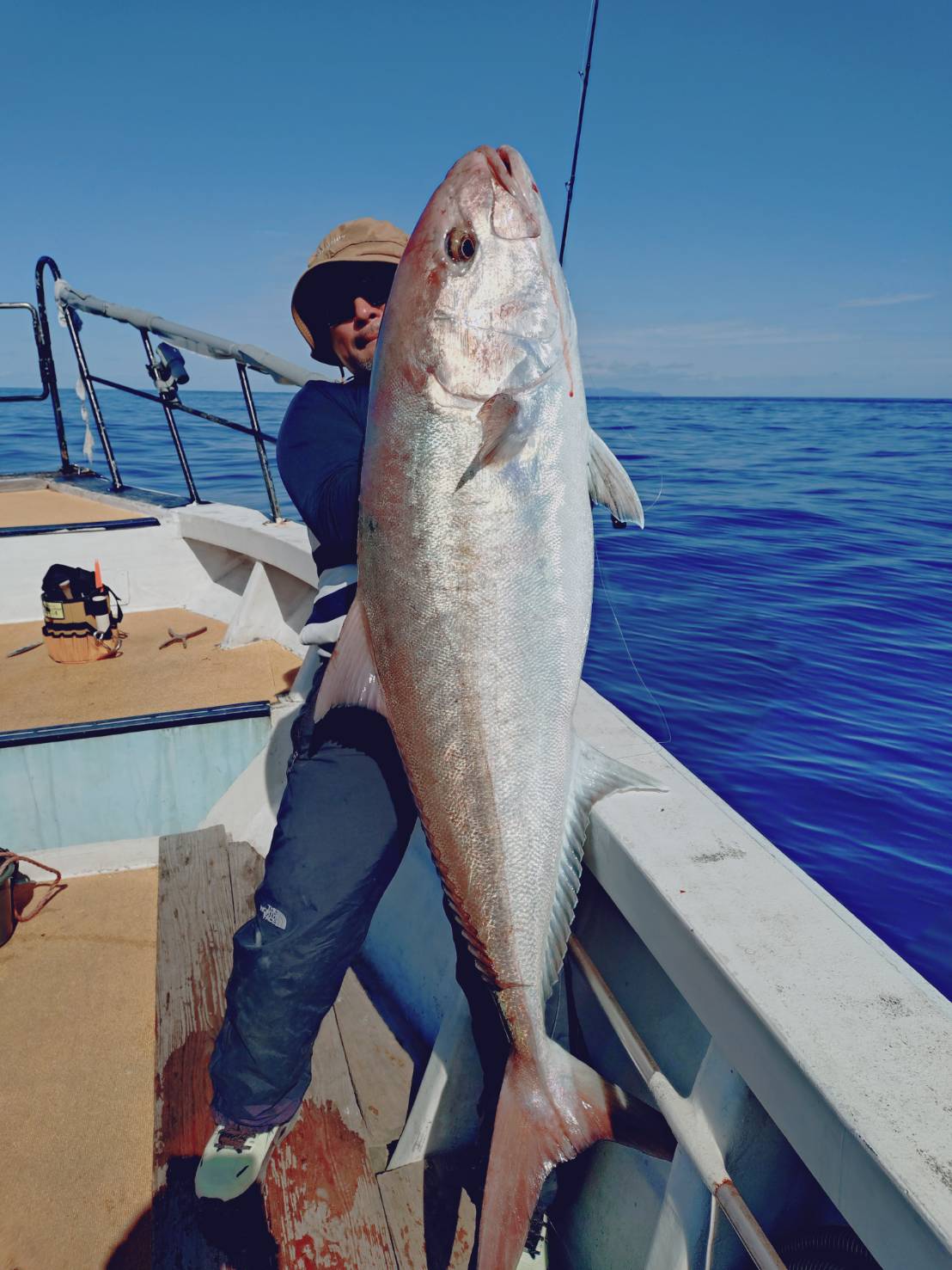 カンパチ　35キロ